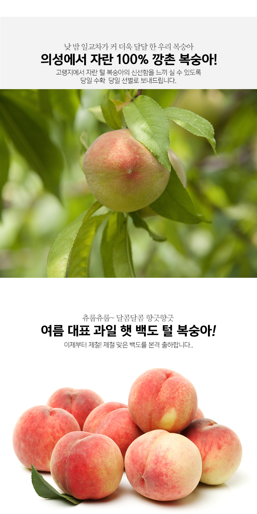 부분 이미지 2