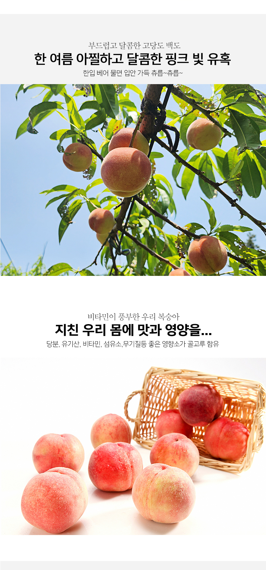 부분 이미지 3