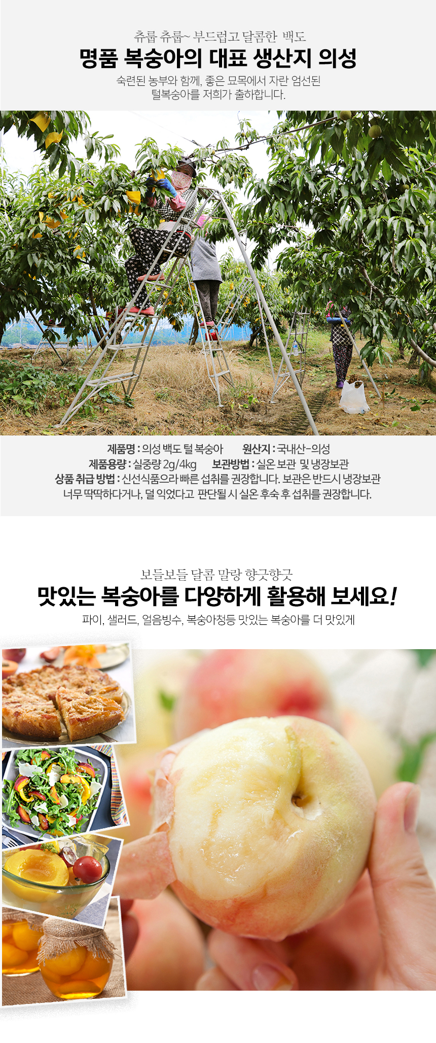 부분 이미지 4