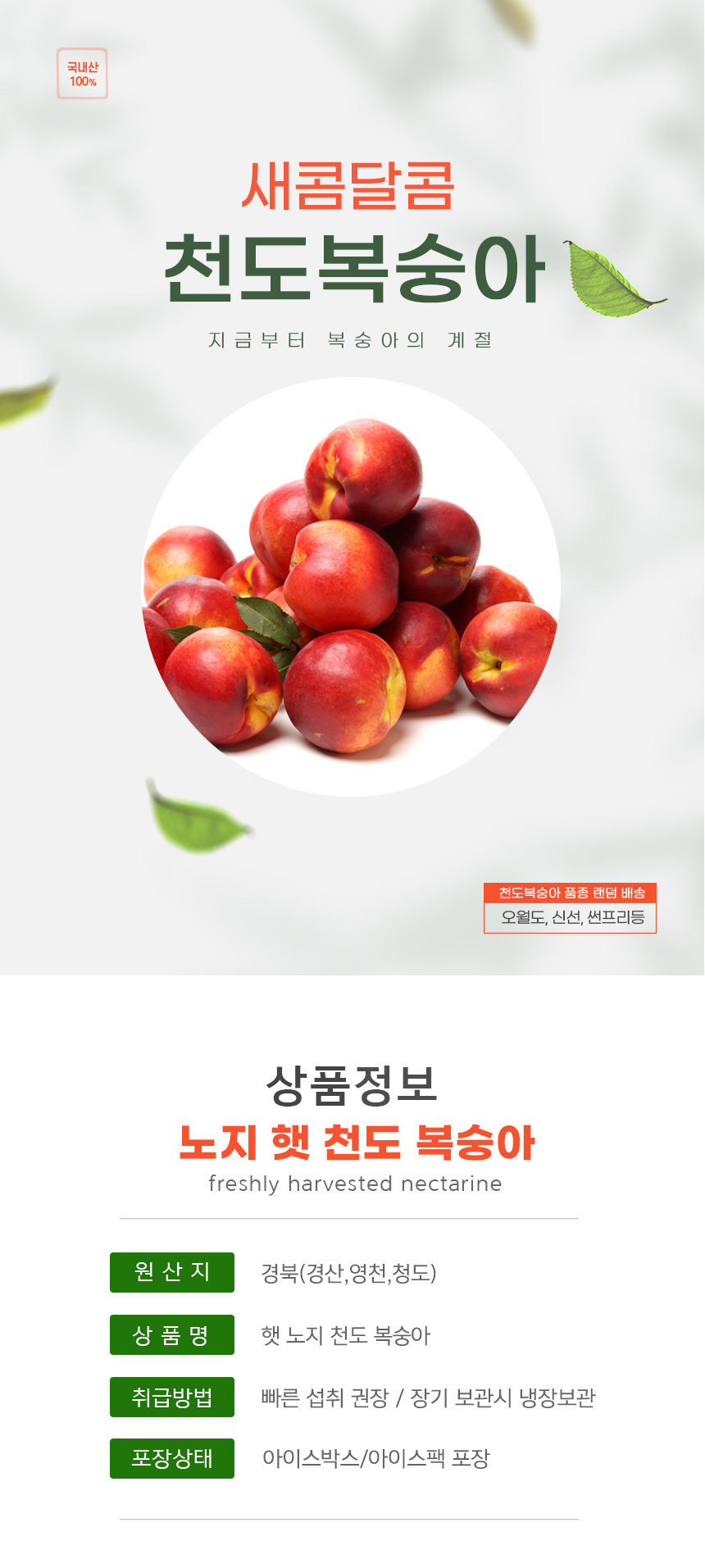 부분 이미지 1