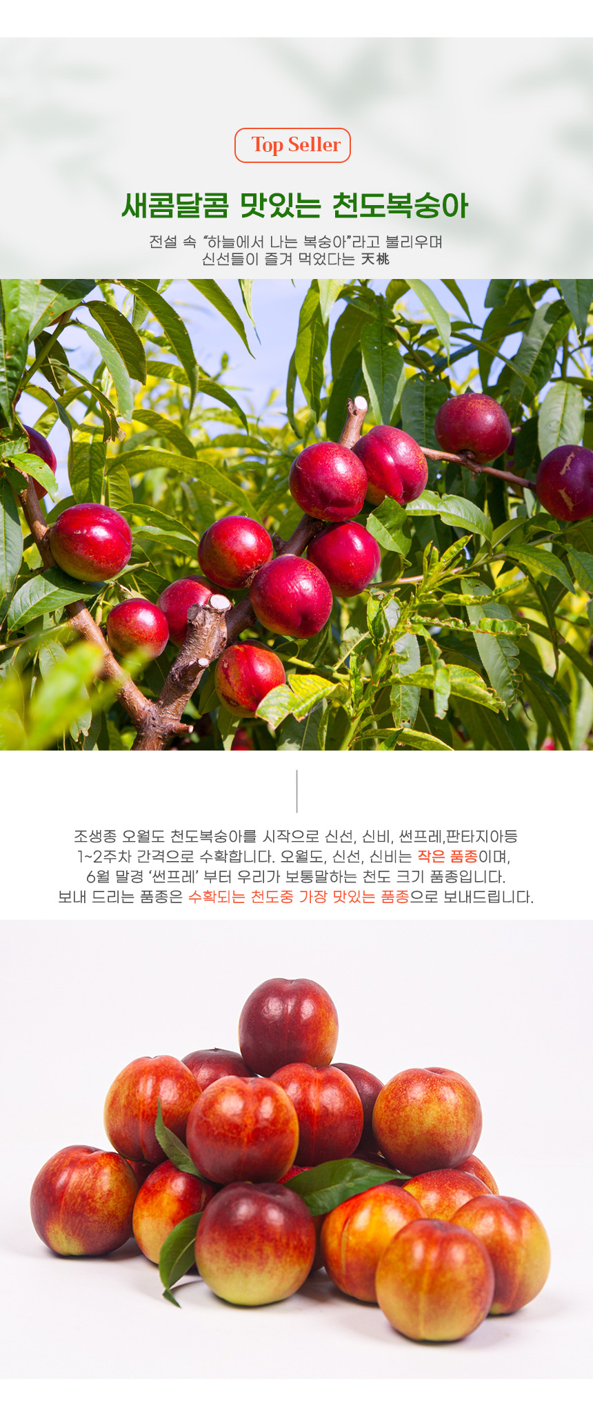 부분 이미지 2