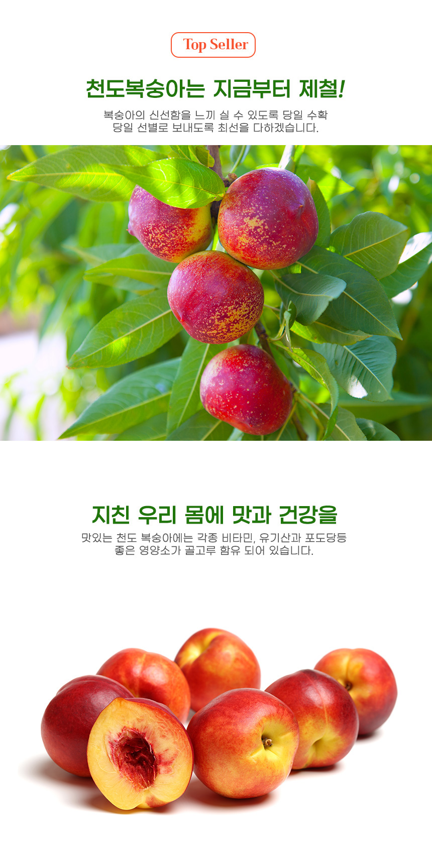 부분 이미지 3