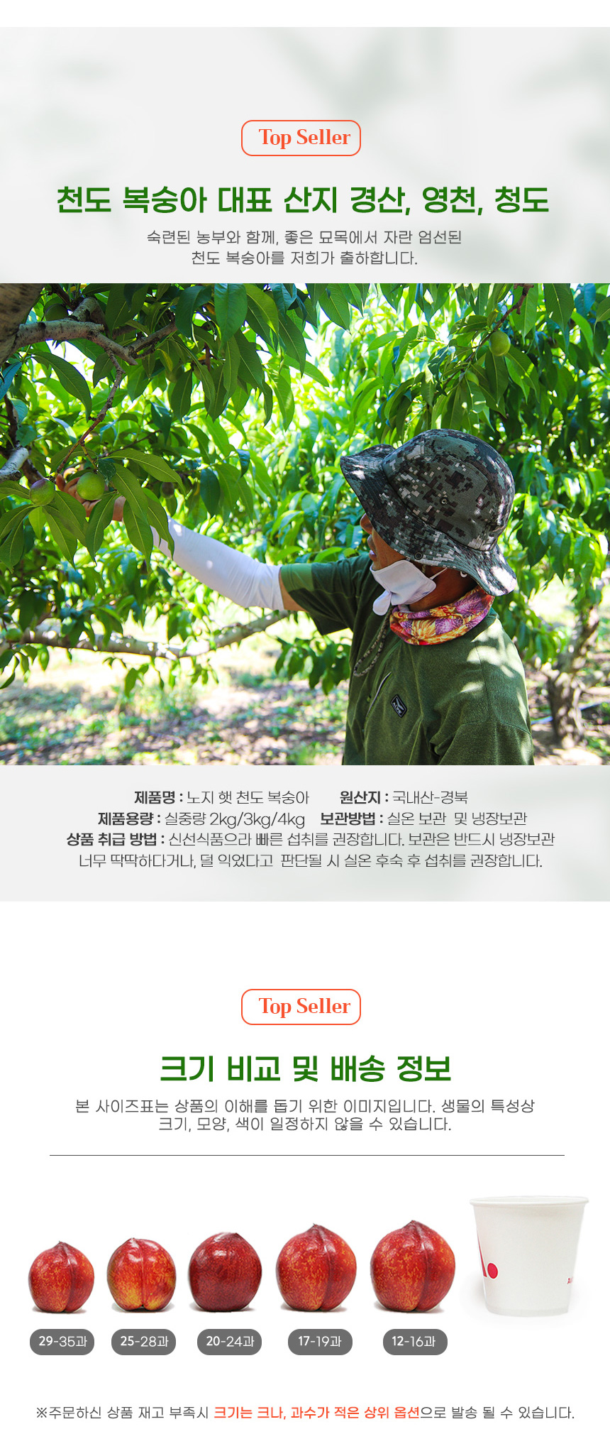 부분 이미지 4