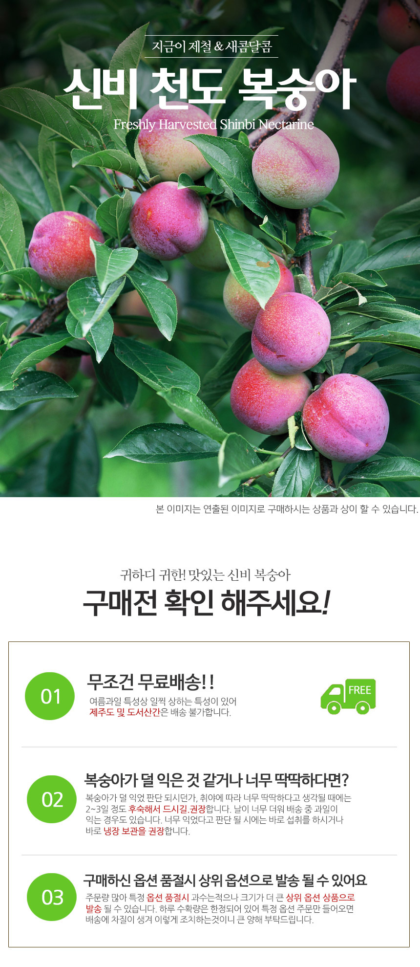 부분 이미지 1