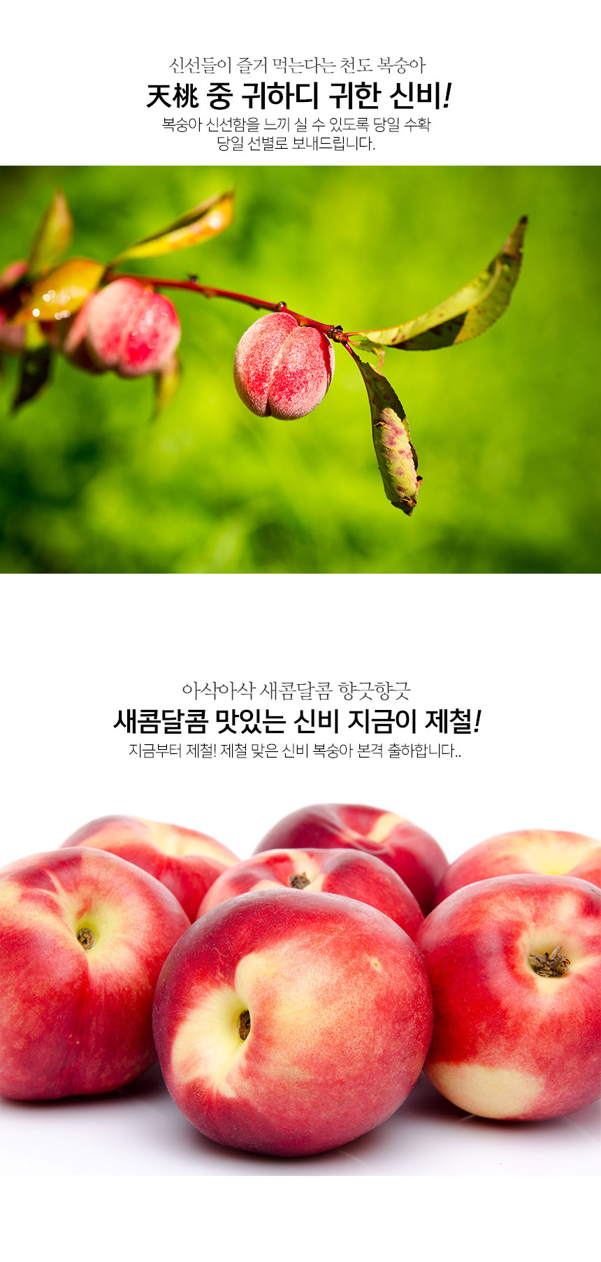 부분 이미지 2