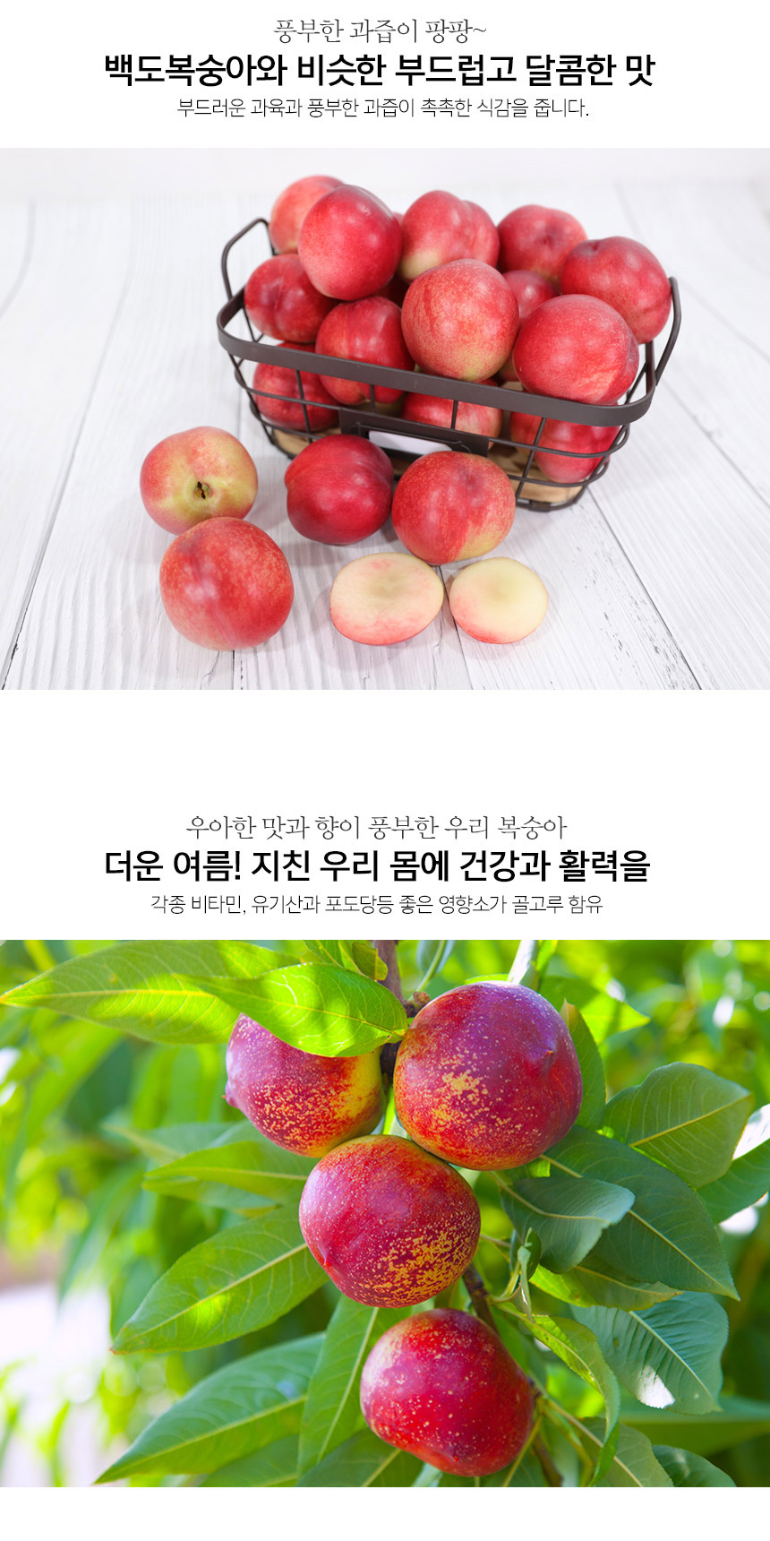 부분 이미지 3