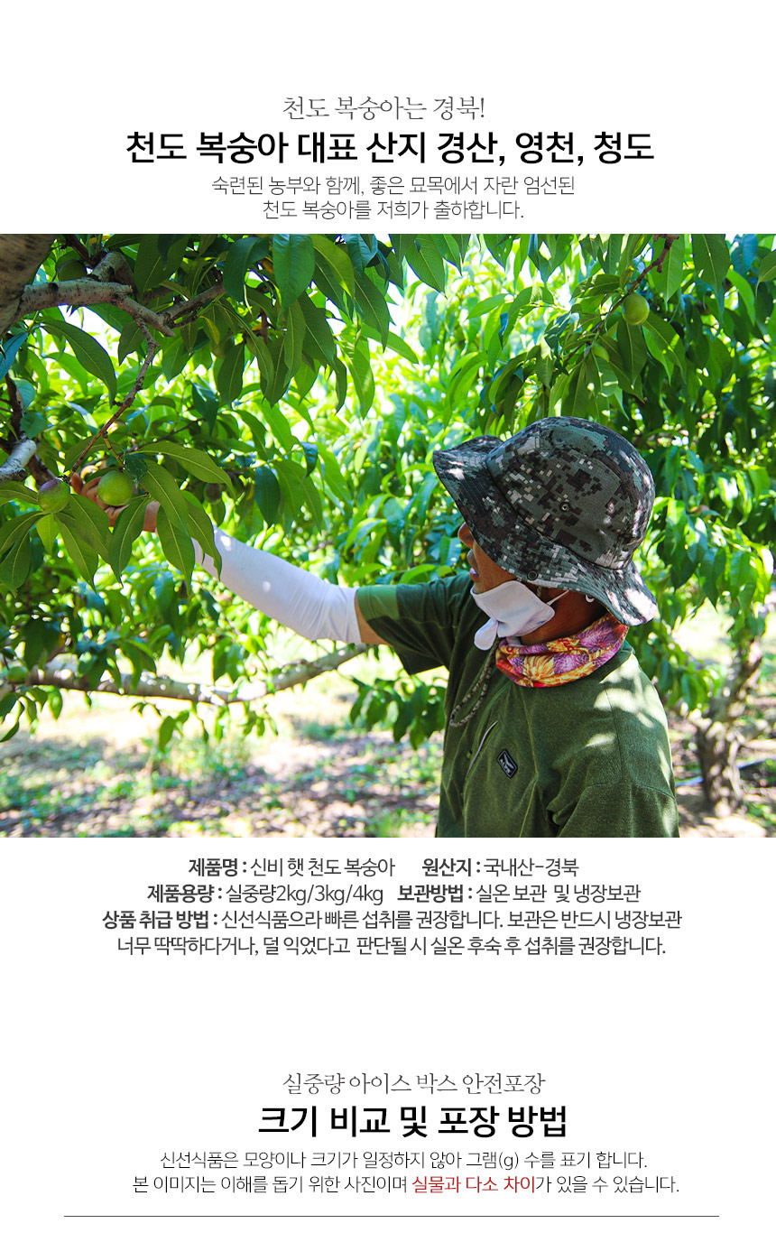 부분 이미지 4