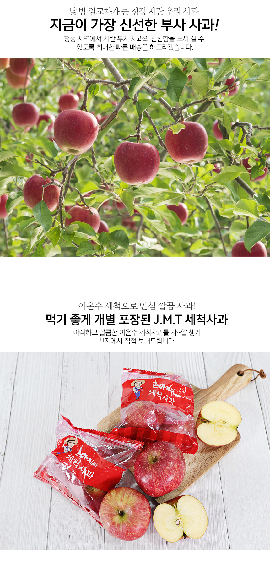 부분 이미지 2