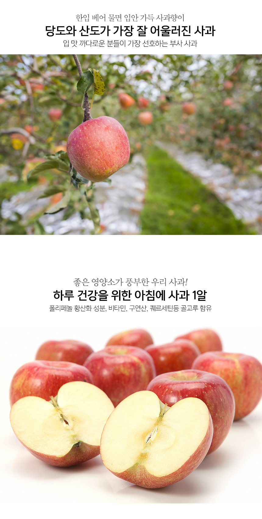 부분 이미지 3