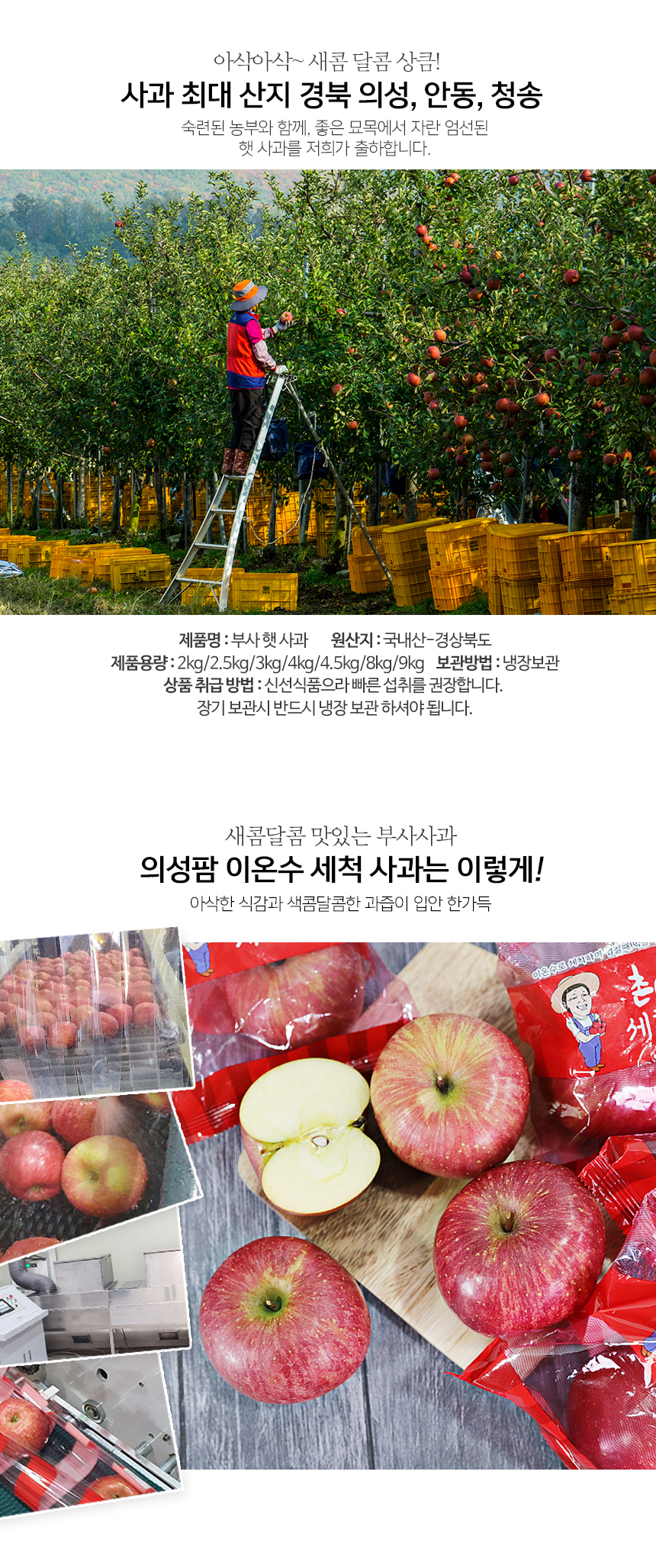 부분 이미지 4