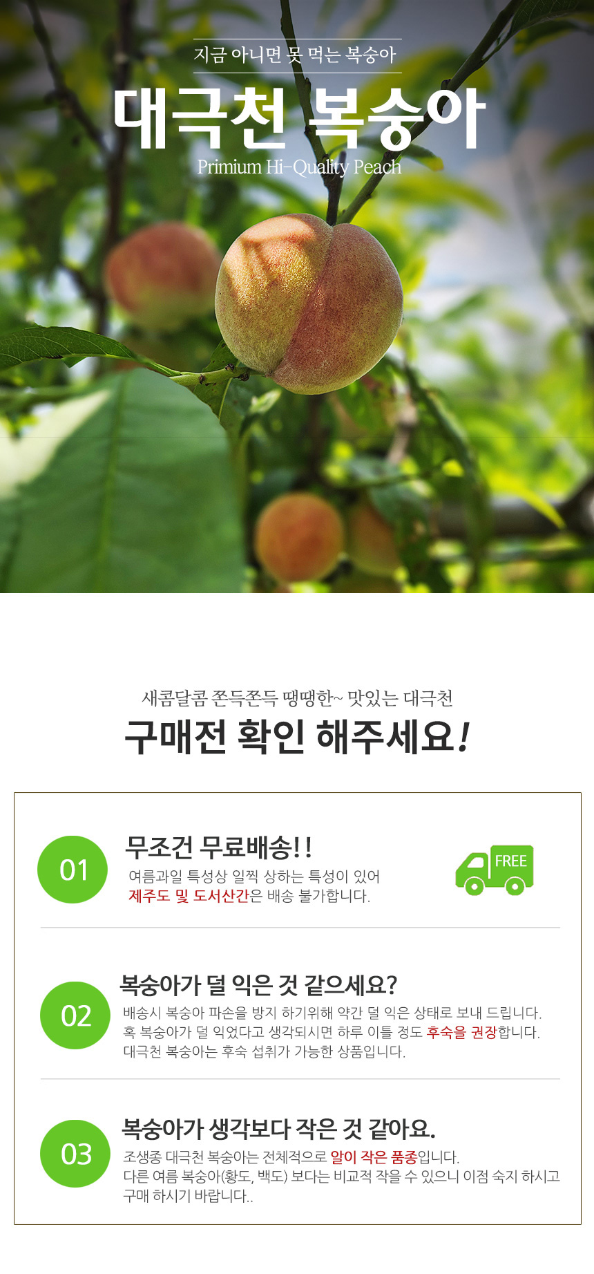 부분 이미지 1