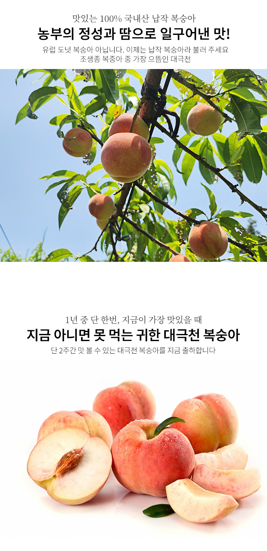부분 이미지 2