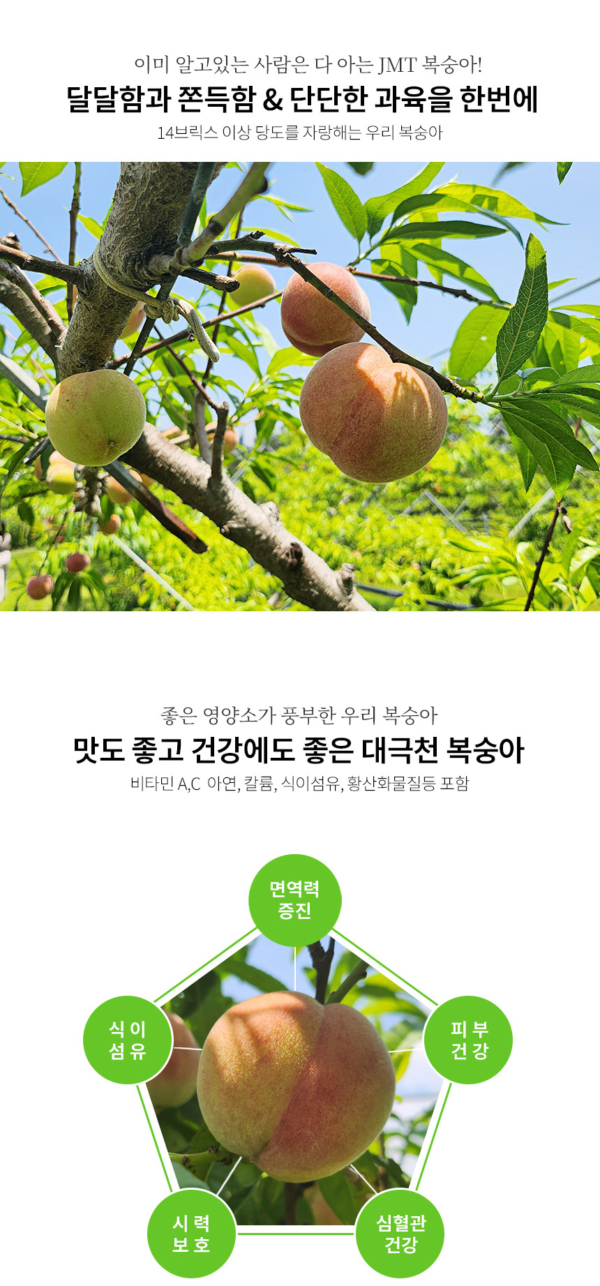 부분 이미지 3