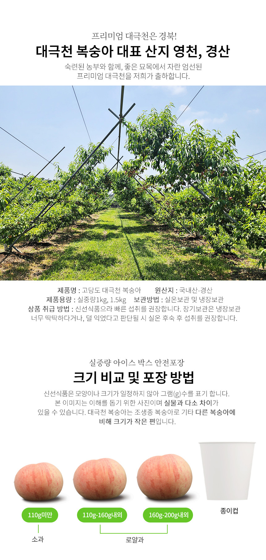 부분 이미지 4