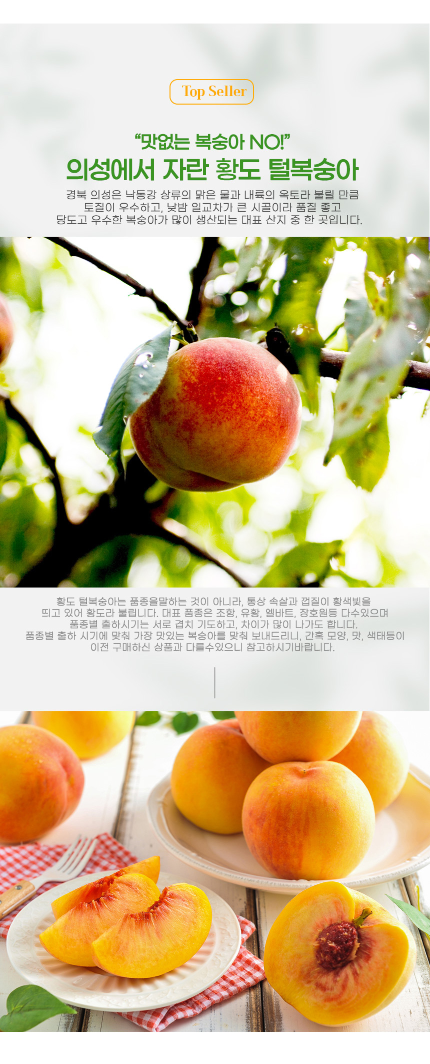 부분 이미지 2