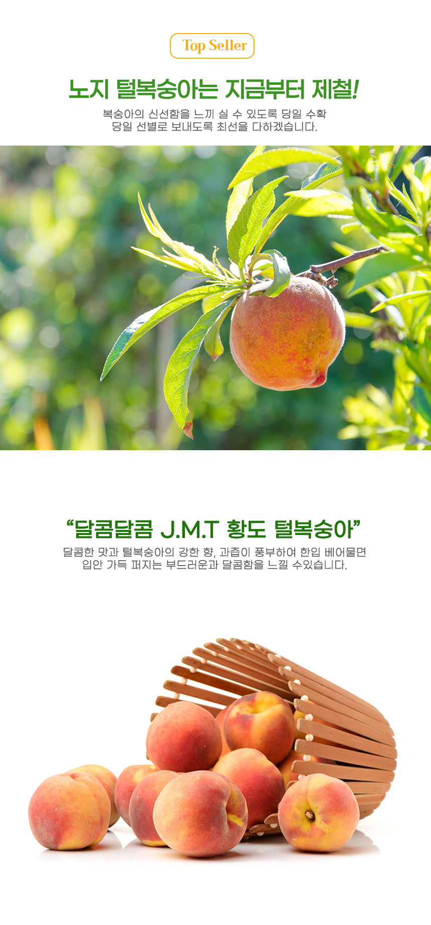 부분 이미지 3