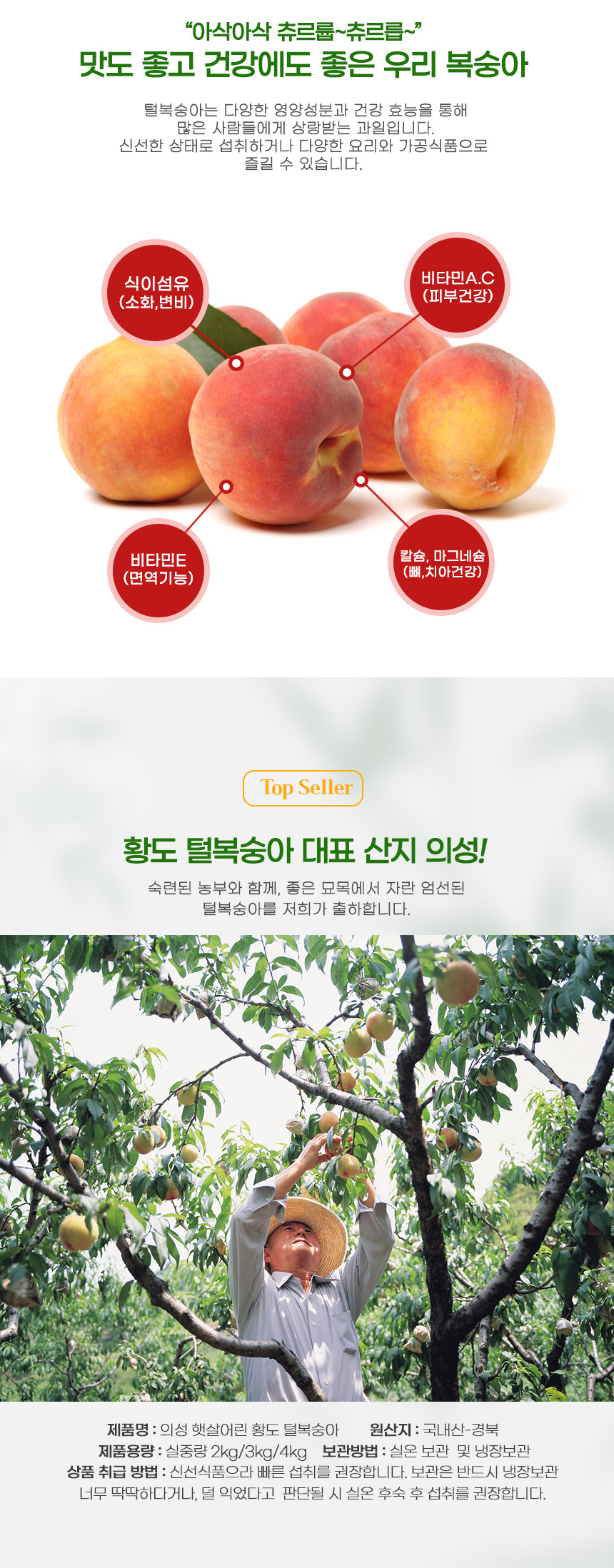부분 이미지 4