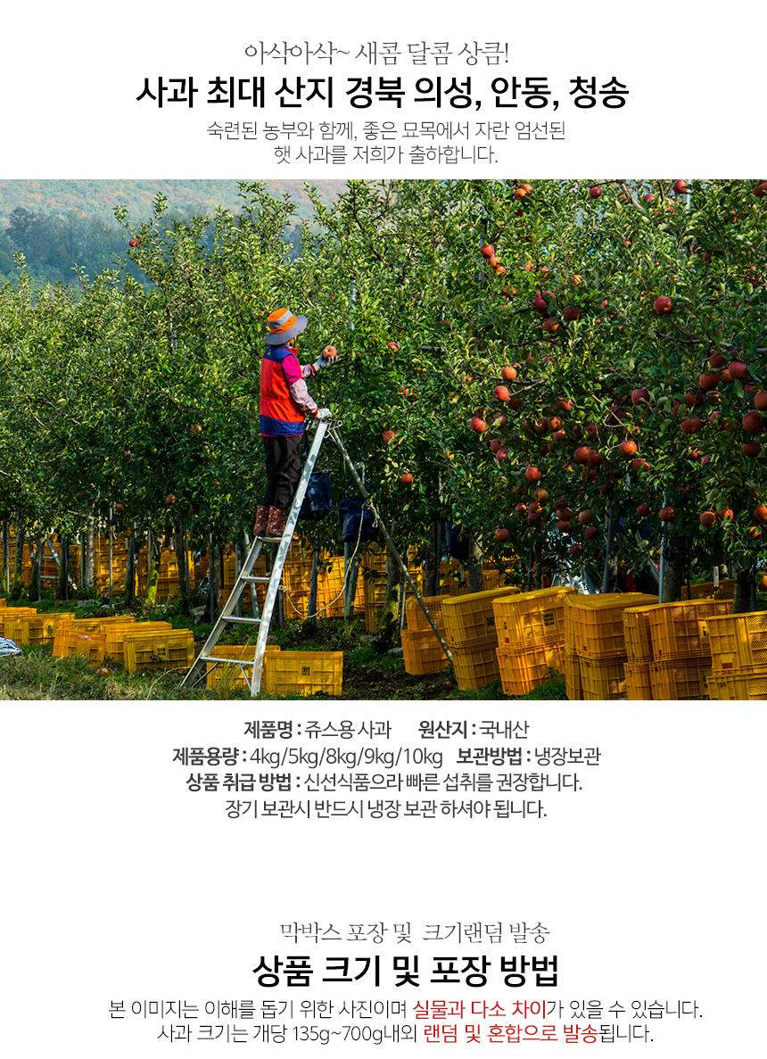 부분 이미지 3