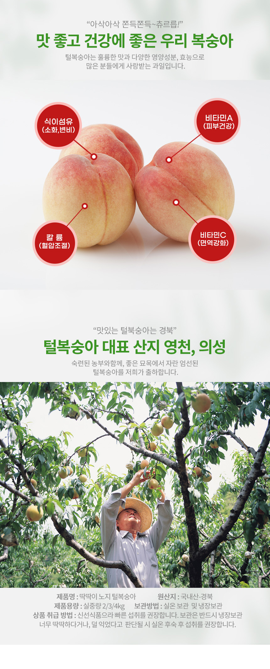 부분 이미지 4