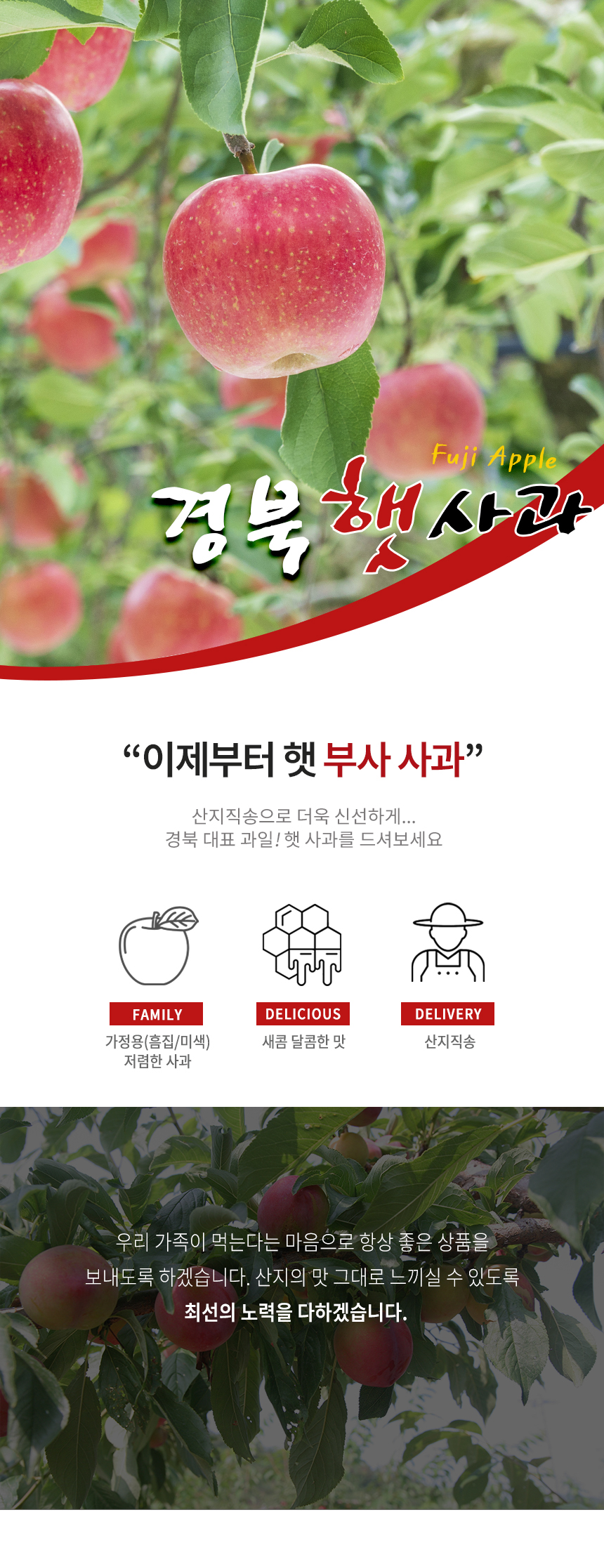 부분 이미지 1