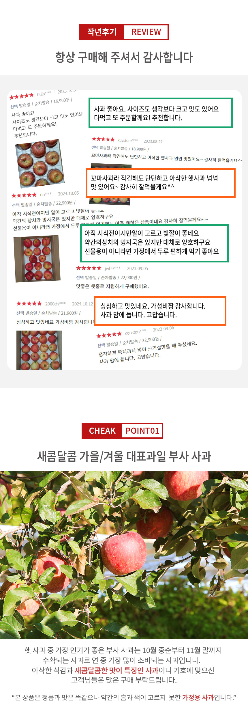 부분 이미지 2