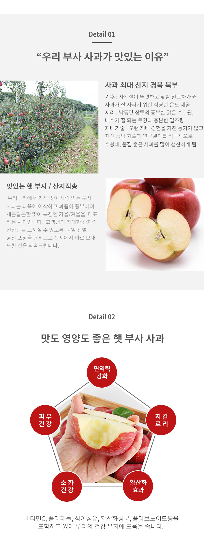 부분 이미지 3
