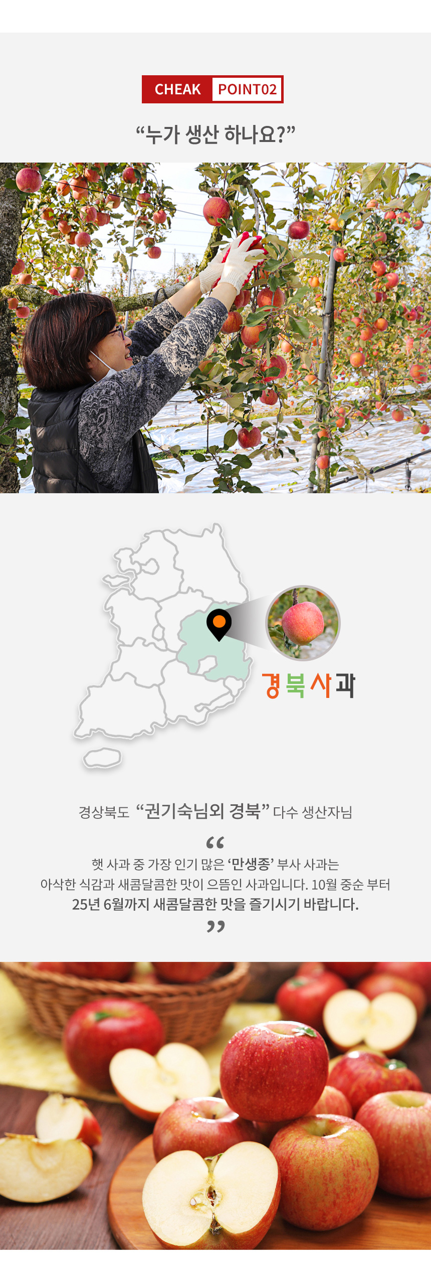부분 이미지 4